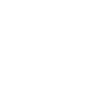 Program Overview Icon